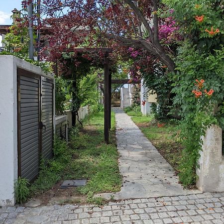 Melina Apartments نيكيتي المظهر الخارجي الصورة